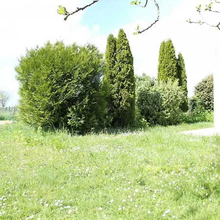 Hébergement de vacances Maison Saint-pierre-d'oléron, 4 Pièces, 8 Personnes - Fr-1-246a-18